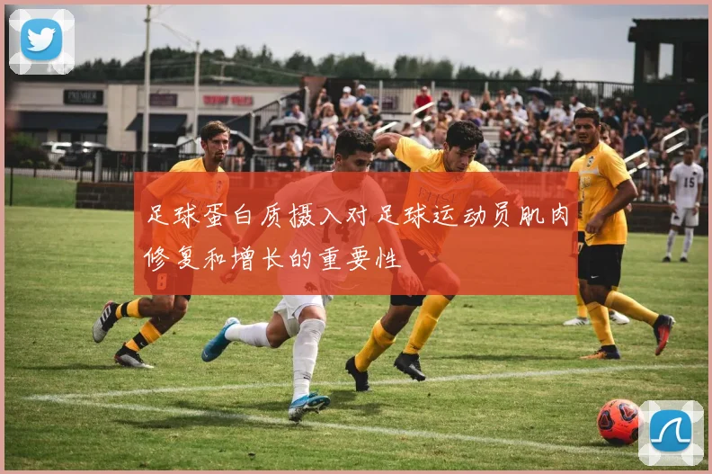 足球蛋白质摄入对足球运动员肌肉修复和增长的重要性