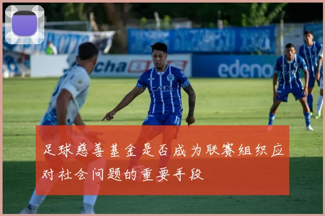 足球慈善基金是否成为联赛组织应对社会问题的重要手段