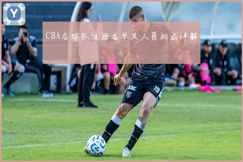 CBA各球队注册名单及人员构成详解