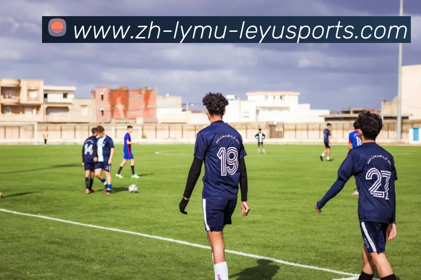 乐鱼体育平台生态图